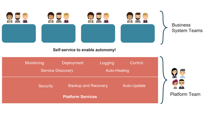 Leadership Pattern Invest In Platform Teams And Accelerate The It Function